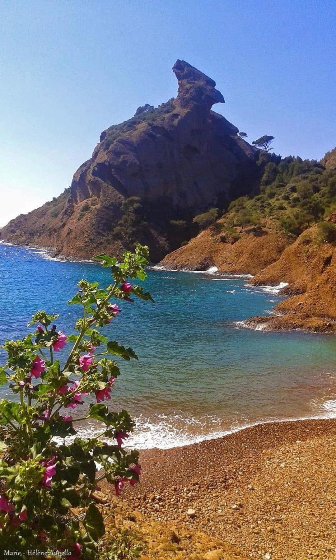 Villa Andalucia, Pisc Chauf Mai A Sept La Ciotat Dış mekan fotoğraf